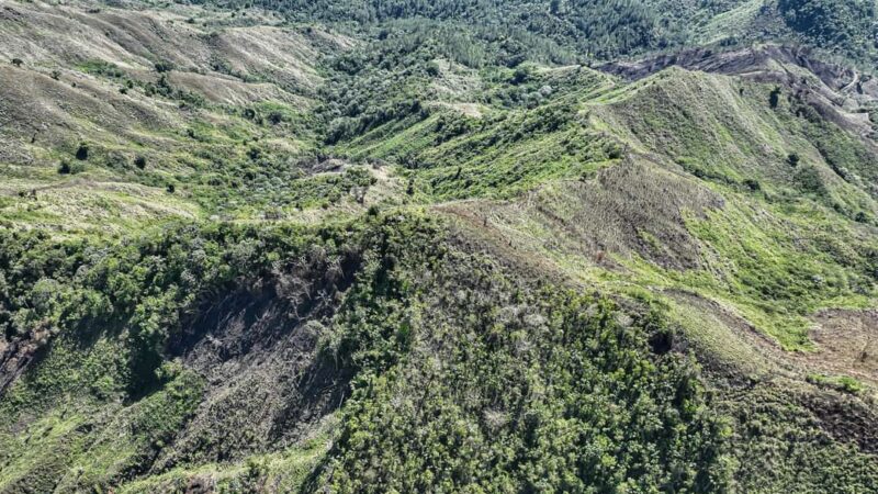 Dominicano y 4 haitianos fueron detenidos por depredar un parque